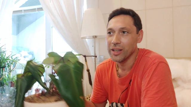 Филодендрон Краснеющий смотреть онлайн