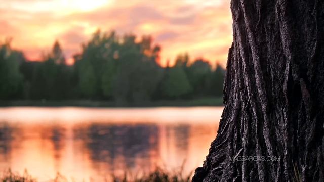 Как Выбрать Ритуальный Нож - Маг Sargas