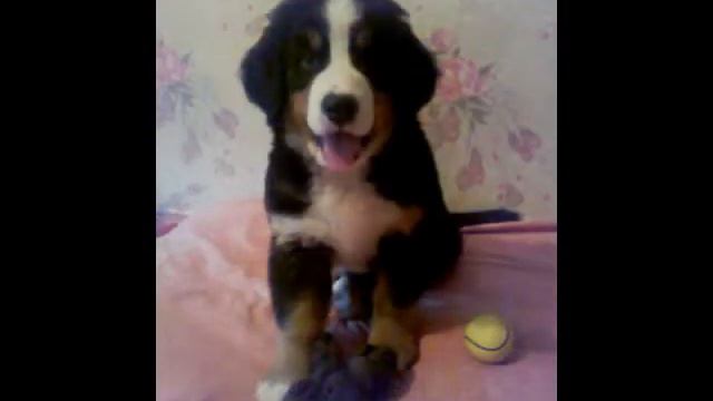 %D0%A4%D0%BE%D1%82%D0%BE