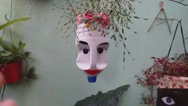 Top 5 plantas de meia sombra смотреть онлайн
