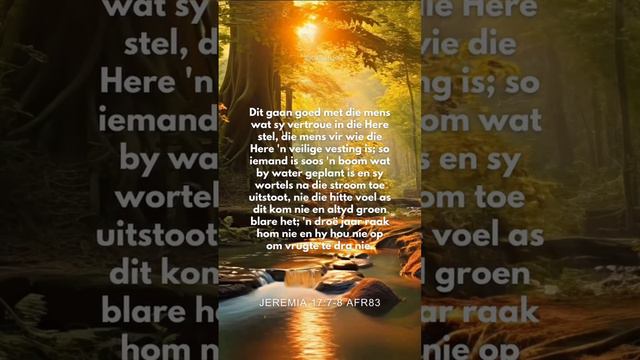JEREMIA 17:7-8 #soosdieson #riananel #geloof #hoop #liefde #geloofspad #suidafrika #afrikaans смотреть онлайн