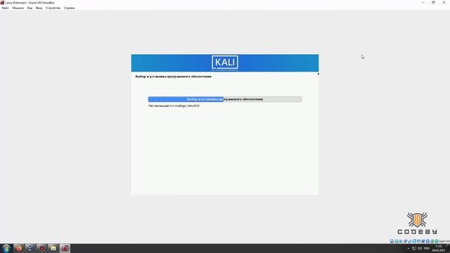 Мануал по установки Kali linux 2020.4 на VirtualBox и настройка wifi адаптера. смотреть онлайн