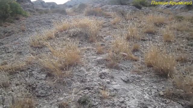Судак гора Алчак Кая Эолова Арфа смотреть онлайн