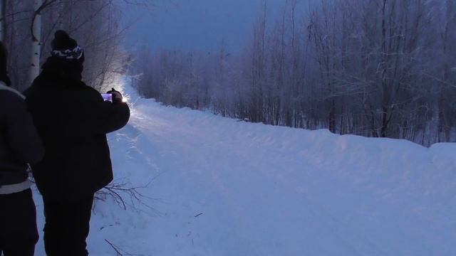 УТС Спринт Яркое 2024