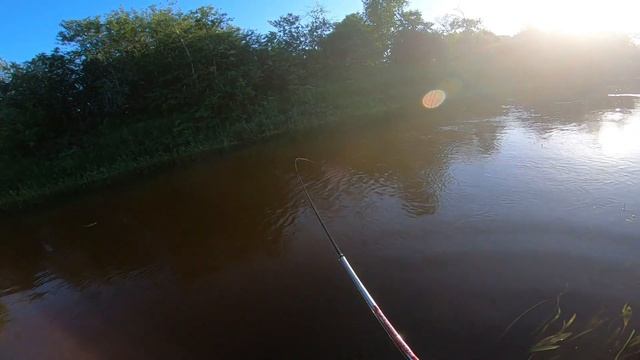 Огромный Голавль смотреть онлайн