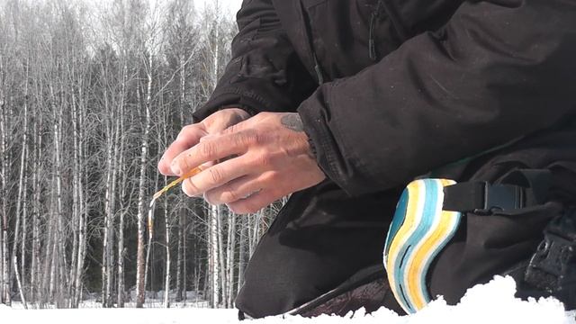 Гномы существуют! СНЯЛ ГНОМИКА НА ВИДЕО))) смотреть онлайн