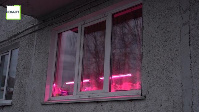 Окна цвета «фуксия» смотреть онлайн