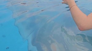 Бассейн на крыше Отеля Панорама Нячанг Вьетнам 2023 год /Цена / Panorama Nha Trang Infinity pool