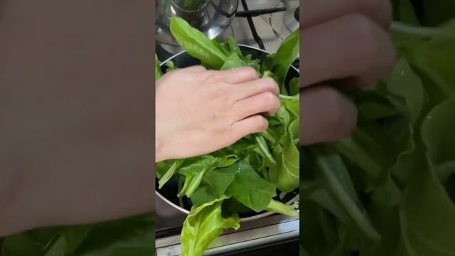 Easy Meals Sautéed Spinach Dumpling Miso Soup #vlog #uaelife #dubailife #foodie #recipe #food