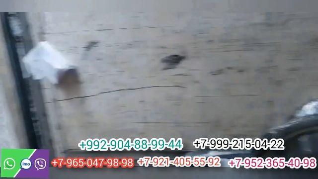 БОР МЕБАРЕМ АЗ САНКТ-ПЕТЕРБУРГ БА ТОЧИКИСТОН смотреть онлайн