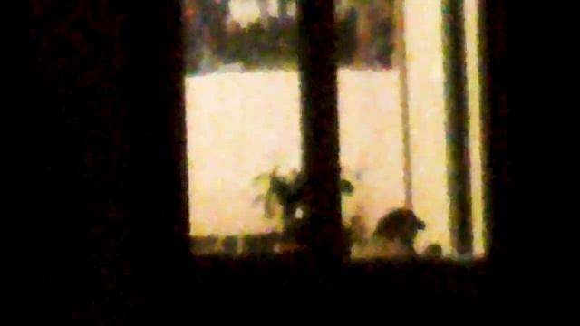 Подглядываем в окна