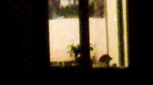 Подглядываем в окна