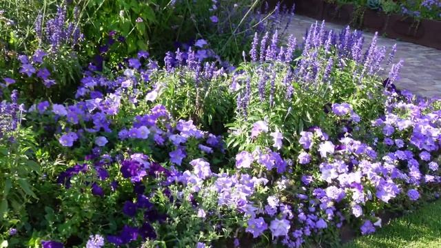 #jardinéphémère #цветы #Франция 66. КЛУМБЫ И ЦВЕТЫ ВО ФРАНЦИИ. КАК ВЫ ДУМАЕТЕ, ЧТО ЗДЕСЬ СТРОЯТ??? смотреть онлайн