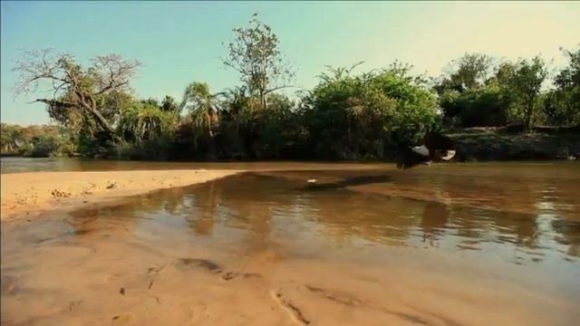 iFly TV: Zimbabwe- A World of Wonders смотреть онлайн