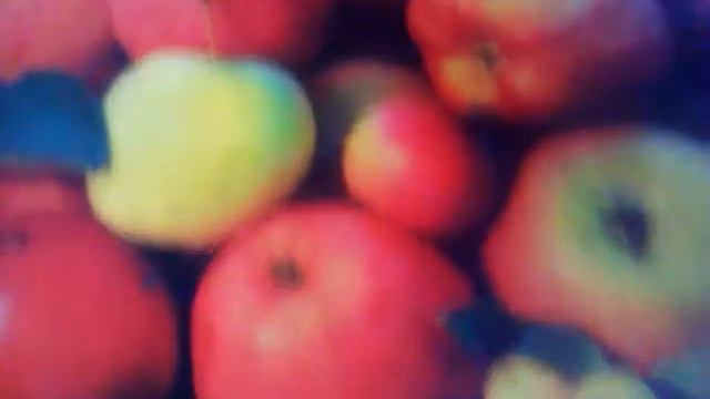 ВИДЕО НЕ БУДЕТ 3 НЕДЕЛИ!!!!!!!????? смотреть онлайн