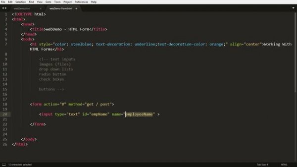 Part 10.  HTML Forms - Input Type Text