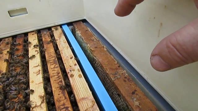 методика 8 рамочного улья в обычном улье на 10 рамок ( с 10. 05 по 19. 06 ) смотреть онлайн