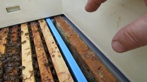 методика 8 рамочного улья в обычном улье на 10 рамок ( с 10. 05 по 19.  06 )