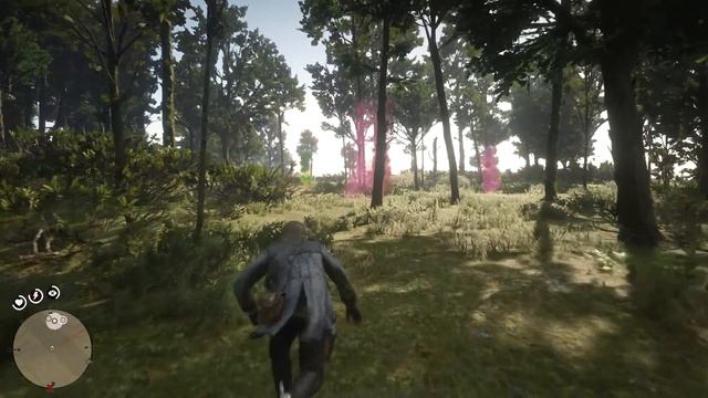 Red Dead Redemption 2 - Chasing Magician Midget Magnifico (RDR2) Ps4 Pro смотреть онлайн