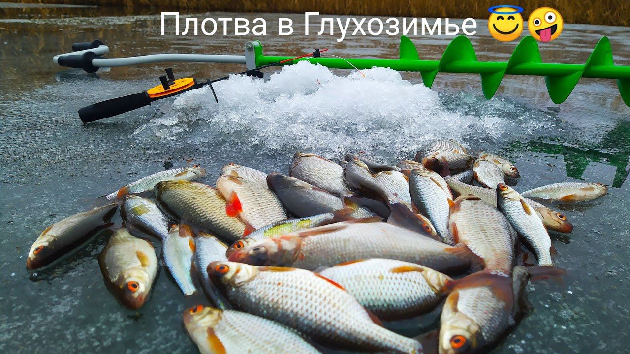 Плотва на игру! Ловля плотвы в оттепель! Рыбалка в Рождество 07.01.2021!!! смотреть онлайн