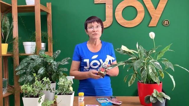 Чем удобрять домашние (комнатные) растения в осенне-зимний период? Обзор линейки удобрений JOY смотреть онлайн