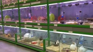Торговое оборудование для продажи в зоомагазин, стойка аквариумная, стойки вольеры для животных, ак