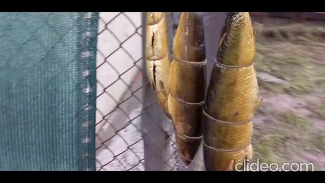 Волшебные ароматы