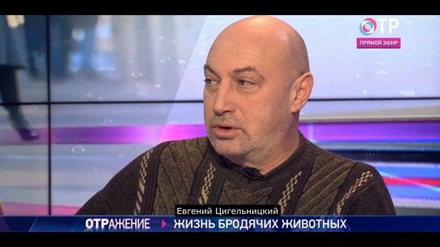 Михаил Юрченко: мы можем предложить резерваты для собак смотреть онлайн
