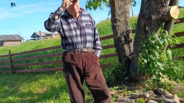 Утро в деревне. Сосед пилит черёмуха. Запчасти из Китая для бензопилы Partner.