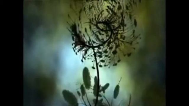 Shy, Original Song By John Kessler смотреть онлайн