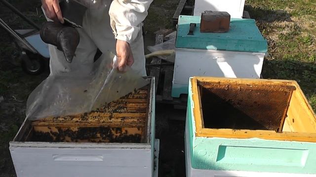 Мастерская Талантов