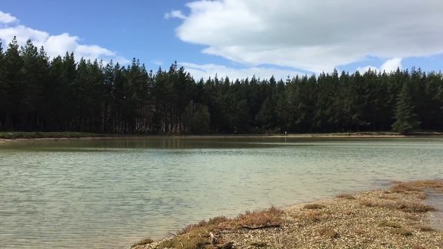New Zealand Vlog | Abel Tasman National Park, Nelson смотреть онлайн