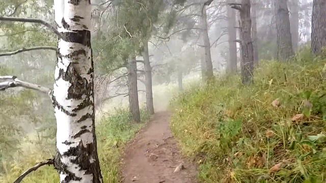 Мама в Алматы. Лето 2018г. смотреть онлайн
