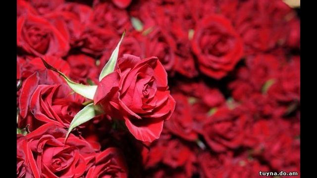КРАСИВЫЕ БУКЕТЫ &&&&& смотреть онлайн