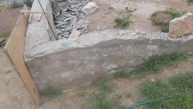 Цыпы и домашние дела