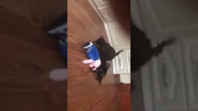 2 шикарных мальчугана смотреть онлайн