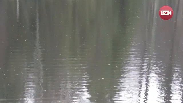 ЧУПАКАБРА ОТДЫХАЕТ ))) СЛОНИМСКИЙ РАЙОН 2019 смотреть онлайн