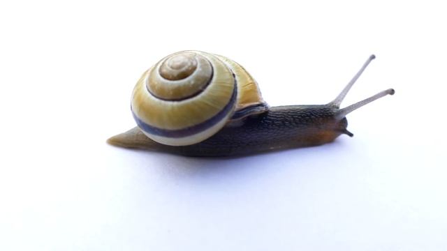 Музыка релакс! Relaxing Music!