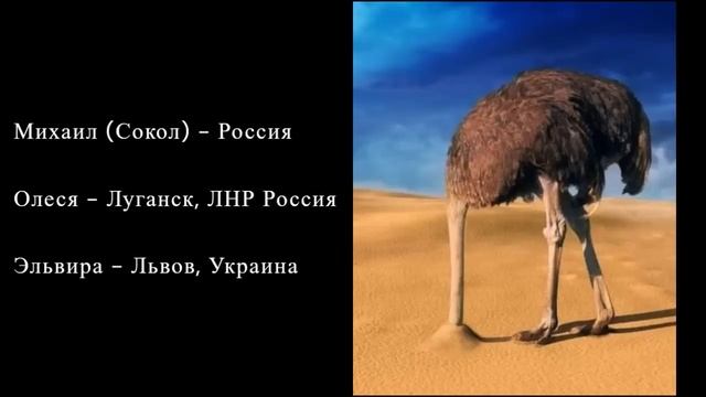 Тик-Ток стримы: ЛЬВОВЯНКА смотреть онлайн