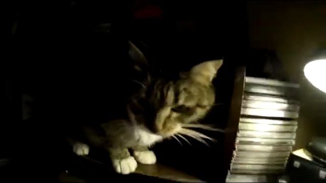 Животное ест живого человека смотреть онлайн