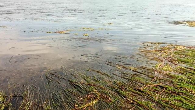 СИБИРСКИЕ КРАСОТЫ| рыбалка на реке Кан смотреть онлайн