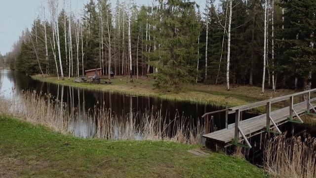 Остров в лесу. Место для отдыха Копра. смотреть онлайн