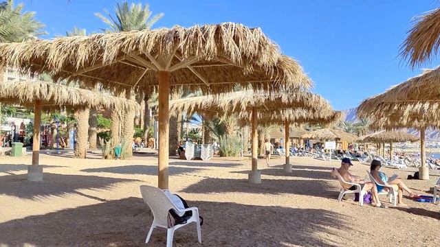 Впечатления от Красного моря! Опасности! Колючие ежи! Очень красивые рыбы попугаи! смотреть онлайн