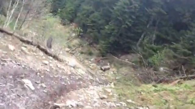 КЧР Экстремальный автотуризм !24,05,15г, Урочище Красный Карачай смотреть онлайн