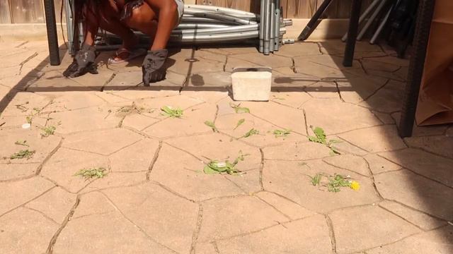DO THIS BEFORE YOU SPEND$ ON BACKYARD RENOVATIONS! SAVING$ смотреть онлайн