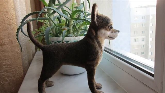 Валяние Той терьер смотреть онлайн