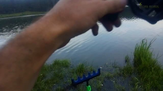 Ловля Карася, Карпа на Фидер. Платный Водоем. смотреть онлайн