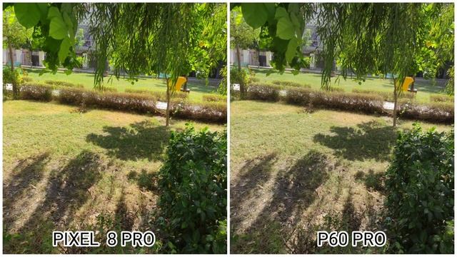 Google Pixel 8 Pro Vs Huawei P60 Pro Camera Test Comparison смотреть онлайн