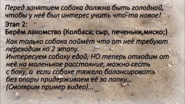 Как научить собаку делать трюк суслик? how to teach your dog to do the trick gopher смотреть онлайн