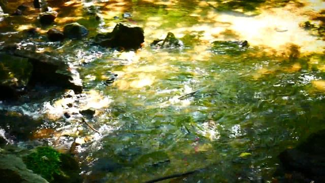 Горная речка . смотреть онлайн